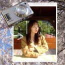 풍경 | 후지 f31fd 빈티지 디카 사진 인물, 풍경 후기