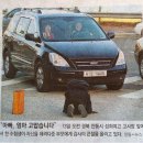 짐 이미지