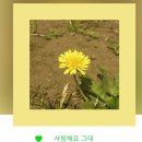 샘커피솝