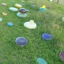 달성 대구현대미술제 이미지