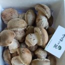 송화농장 이미지