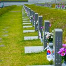 모소축산 | 전라도 광주 북구 여행! 비엔날레와 5·18민주묘지, 환벽당, 광주호 호수생태원까지