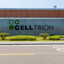 클린티비&프린트