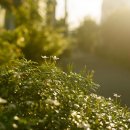 지금여기에 이미지