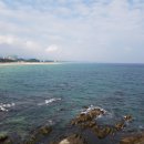 유정민박 이미지