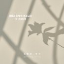 두피스토리
