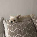 경서동물병원 이미지