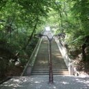 백옥대로1081번길 이미지