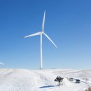 새하얀목장 | 강원도 겨울 여행 대관령 3대 목장 비교 양떼목장, 삼양라운드힐, 하늘목장