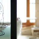 레오그루밍 이미지