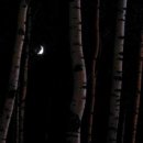 바람아래민박 이미지