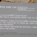 전서로(풍천면) 이미지