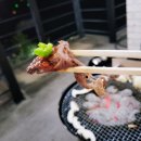 담양버치 이미지