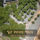 경남 밀양 구만산장, 시원한 계곡과 나무 그늘이 예술인 오토캠핑장 사이트 총정리