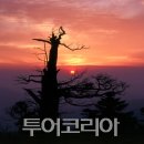 태백가족
