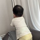 아르떼플로