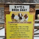 테디베어스토리