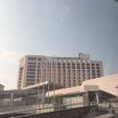 아리수호텔 | 서대문 호캉스 추천 스위스 그랜드 호텔 내돈내산 (주차, 가격, 부대시설)