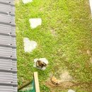 잠잠비치 이미지