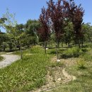 (주)경주산림환경 | 경주 / 25.06.05 경주커플여행 2박3일 2일차 , 경주산림환경연구소 경주청년숲정원 포토스팟 방문후기