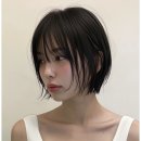 자유헤어 - 완도군 개포로145번길 21 | [하남미사미용실] 아이 등원시키고 자유시간 로즐리헤어 미사본점에서 힐링하고 온 후기
