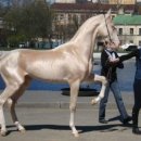 우아한세상 이미지