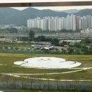 2023-0038 | 얼렁뚱땅 8월 일상