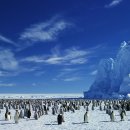 Latest News Reading 이미지