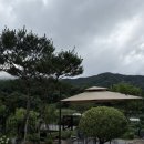 산내지우디 이미지