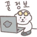 허니모모 애견미용실 네이버블로그