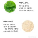 여드름앰플 추천 디누보 프레쉬 세라마이디드 트러블 카밍앰플 사용 후기