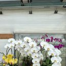 진장농장 이미지