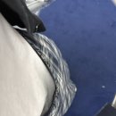 영교목장 | 혼쿠오카 2일차