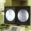 김용석한의원 이미지