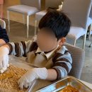 일표농장 | 제주 여행 탐나는농장 감귤체험카페 제주 만들기 체험 유아도가능할까(예약,가격)