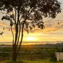 풀빛정원 이미지