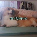 (주)제이커뮤니케이션