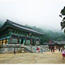 보문사약수터 이미지
