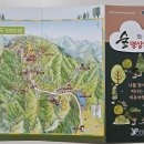 포레스트 12 자연휴양림 이미지