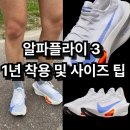 나이키 알파플라이 3 블루프린트 1년 착용 후기 및 사이즈 팁 / 카본 러닝화 소개