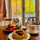 진레스카페 이미지