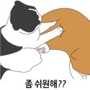 지경희동물병원 이미지