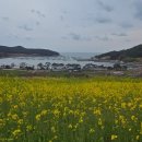 매봉산2길 이미지