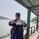 해성좌대 이미지