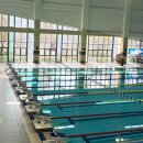 배미수영장 (옥내1) | 아산배미수영장 수영대회 <아산체육회장배 마스터즈 수영대회> 핀자유형 50m 출전 후기