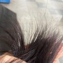 태리헤어(Taeri Hair)