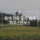 여행사 하나로드 이미지