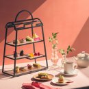 안다즈 서울 강남 이미지