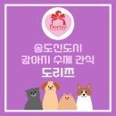 도리쯔(DORIZZ) | [강아지 블로그] 송도 강아지 수제 간식집 추천