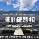 뉴월드레포츠 | 뉴질랜드 워킹홀리데이 여행 #로토루아, 뉴플리머스 후기#2019년 비자신청 성공 응원해요